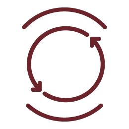 CIRCULATION VEINEUSE