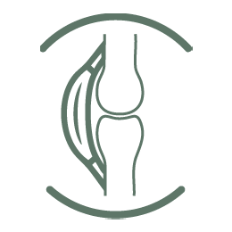 FLEXIBILITÉ DES TENDONS