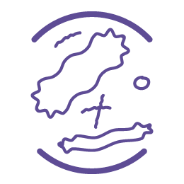 FLORE INTESTINALE ET ÉQUILIBRE