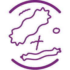 FLORE INTESTINALE ET ÉQUILIBRE