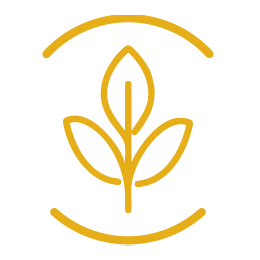 PLANTES ADAPTOGÈNES