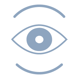 VISION