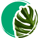 Toute la Phytothérapie